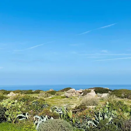 Davia Marine De Davia
